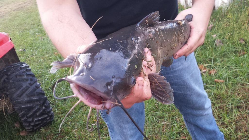 All You Can Eat Catfish Sunday/ ASK A CHRISTIAN ANYTHING